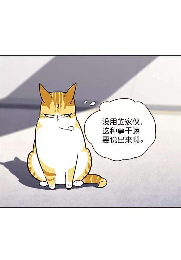 觉醒吧，铲屎官！24话