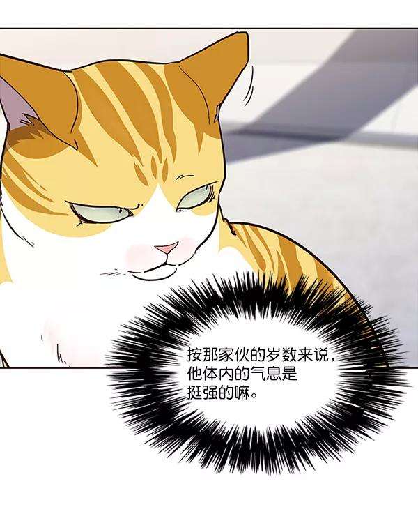 觉醒吧，铲屎官！24话