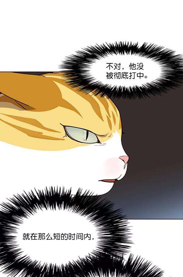 觉醒吧，铲屎官！25话