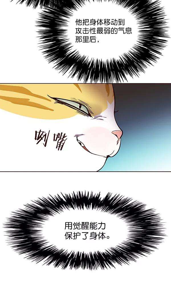 觉醒吧，铲屎官！25话