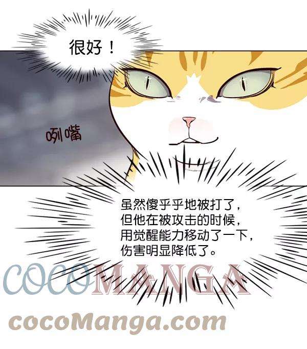 觉醒吧，铲屎官！25话