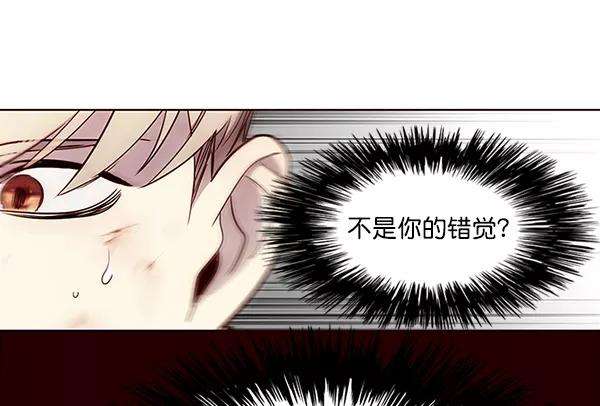 觉醒吧，铲屎官！25话