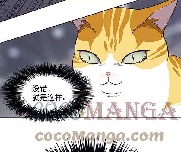 觉醒吧，铲屎官！25话