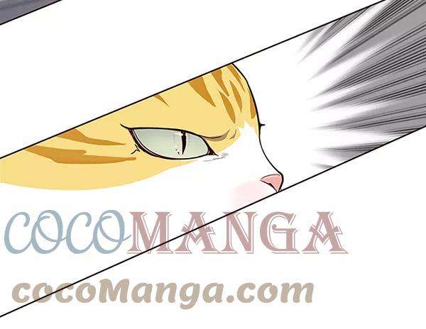 觉醒吧，铲屎官！25话