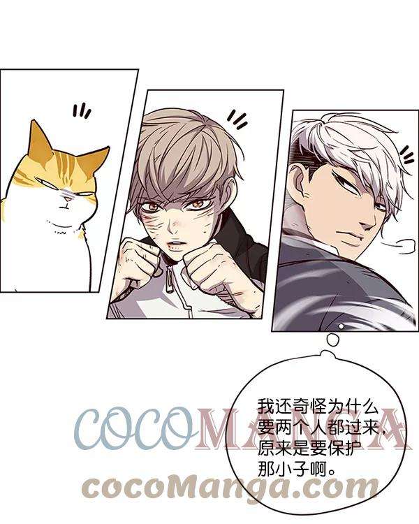 觉醒吧，铲屎官！26话