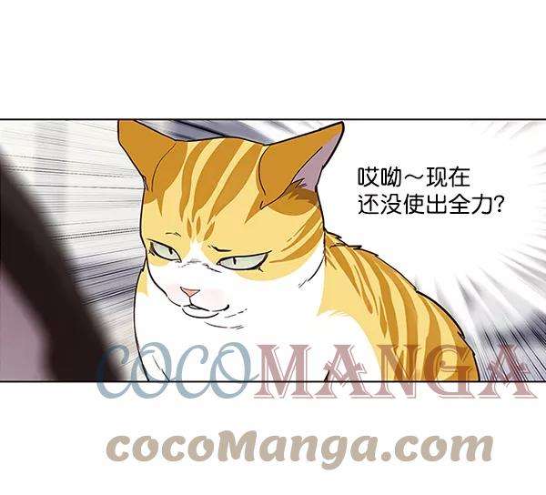 觉醒吧，铲屎官！26话