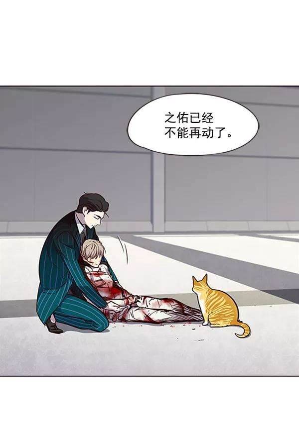 觉醒吧，铲屎官！27话