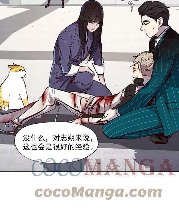 觉醒吧，铲屎官！27话