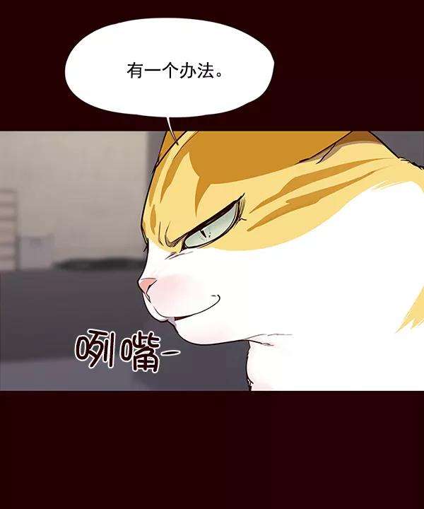 觉醒吧，铲屎官！27话