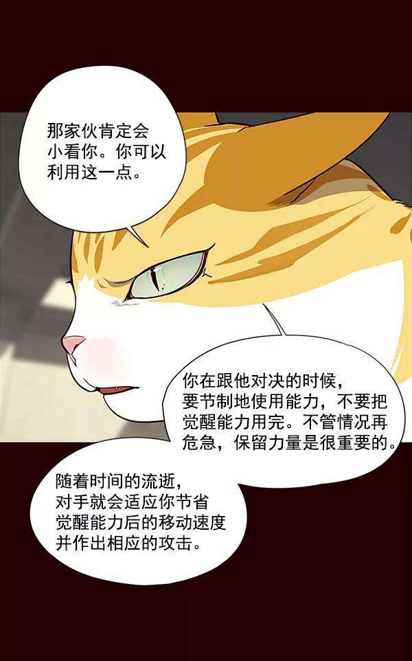 觉醒吧，铲屎官！27话