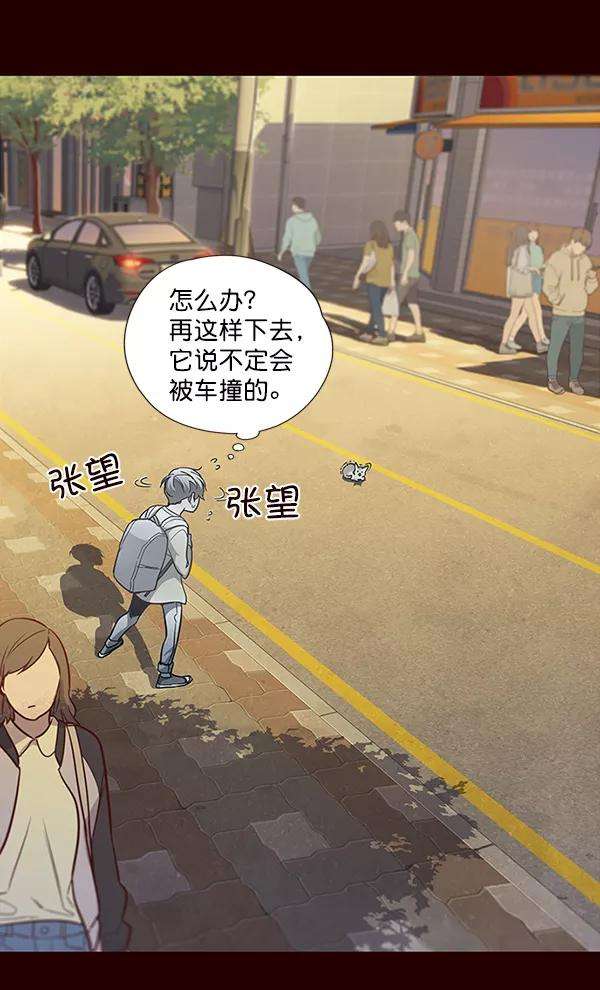 觉醒吧，铲屎官！27话