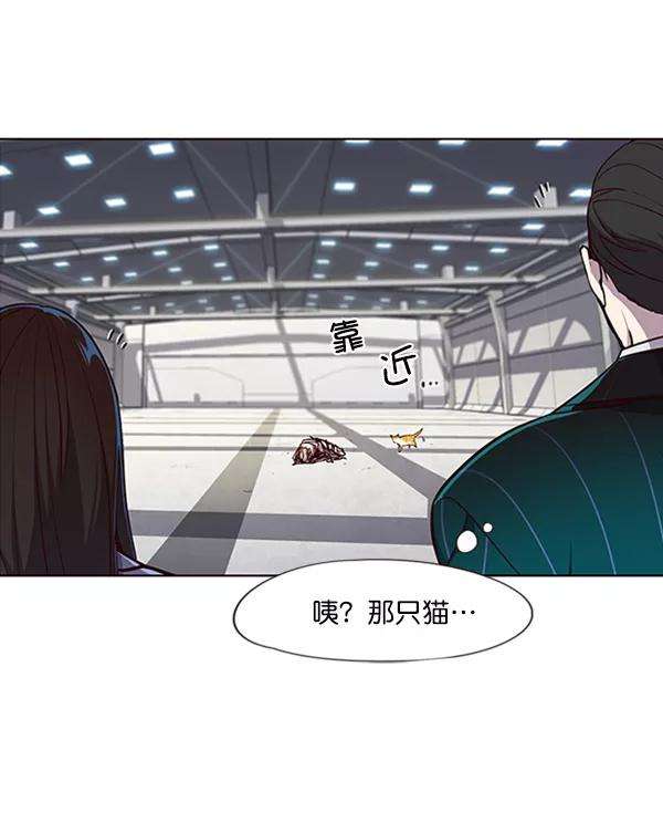 觉醒吧，铲屎官！27话