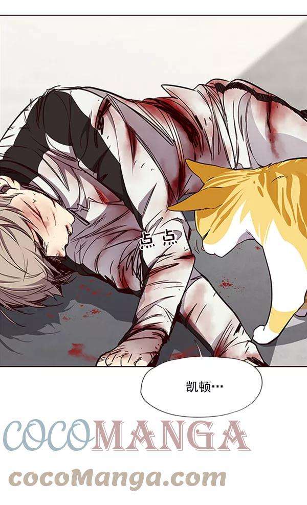 觉醒吧，铲屎官！27话
