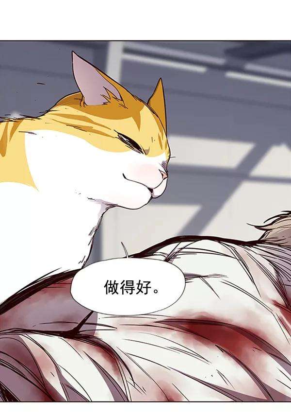 觉醒吧，铲屎官！27话