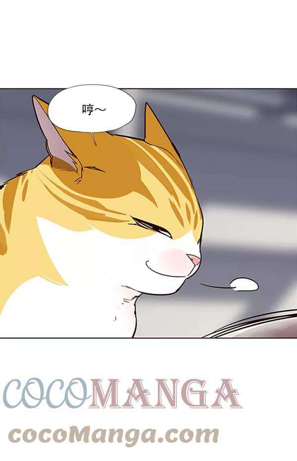 觉醒吧，铲屎官！27话