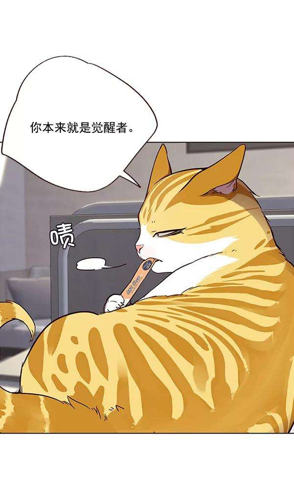 觉醒吧，铲屎官！28话