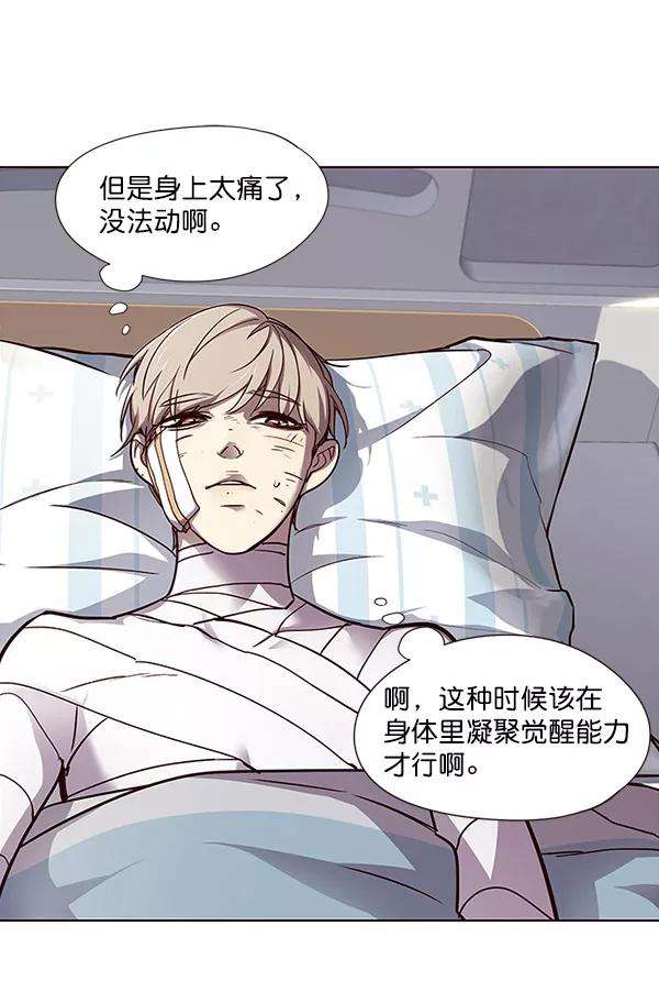 觉醒吧，铲屎官！28话