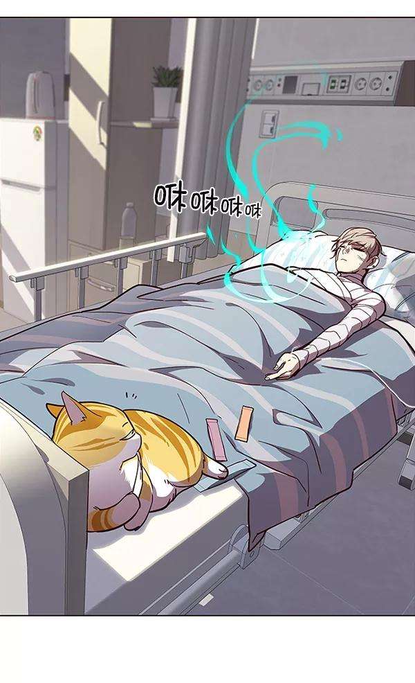 觉醒吧，铲屎官！28话