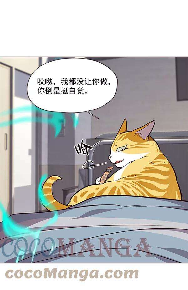 觉醒吧，铲屎官！28话