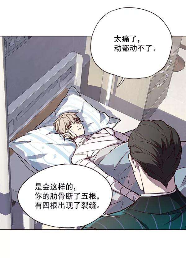 觉醒吧，铲屎官！28话