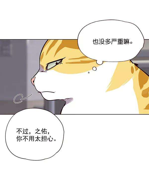 觉醒吧，铲屎官！28话