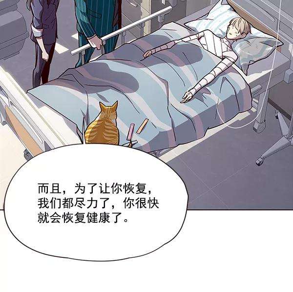 觉醒吧，铲屎官！28话