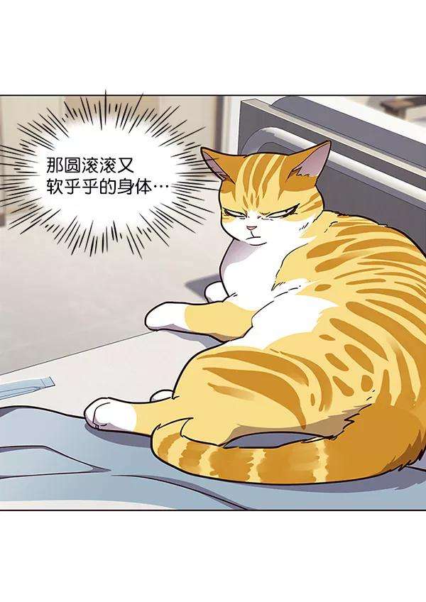 觉醒吧，铲屎官！28话