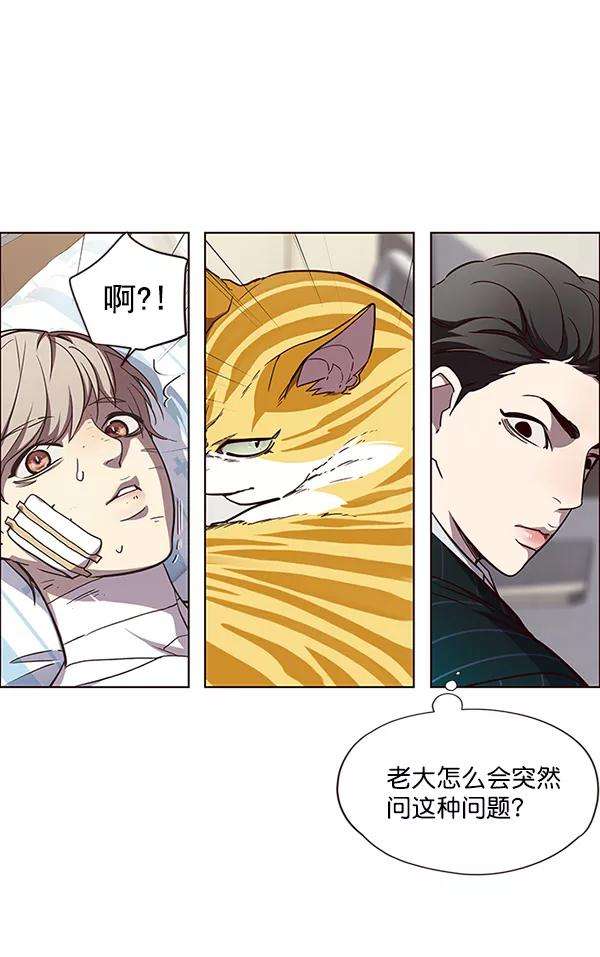 觉醒吧，铲屎官！28话