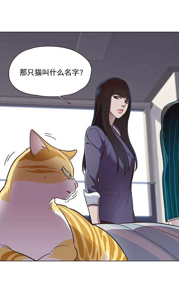 觉醒吧，铲屎官！28话