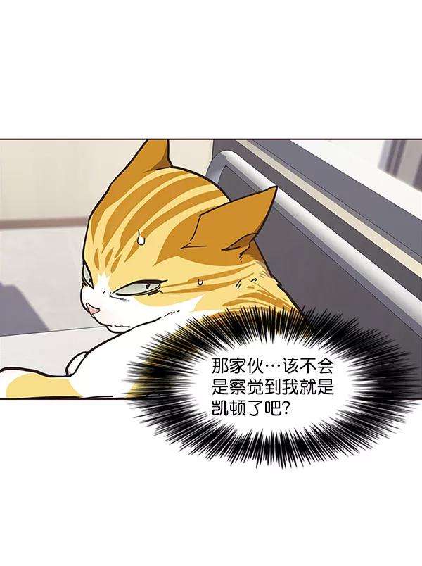 觉醒吧，铲屎官！28话