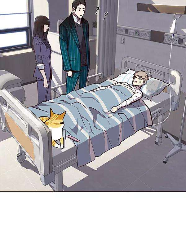 觉醒吧，铲屎官！28话