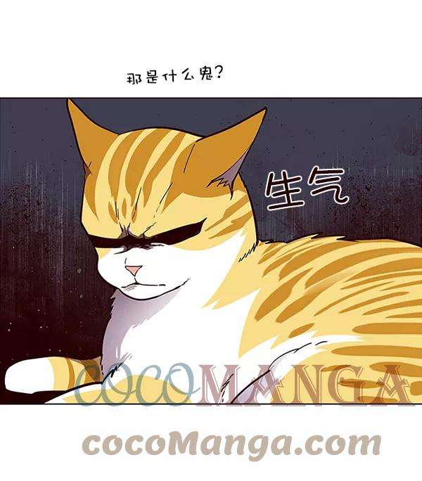 觉醒吧，铲屎官！28话