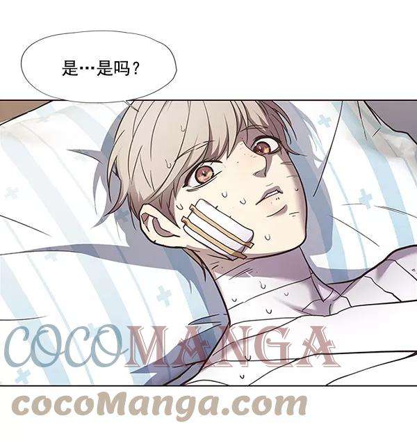 觉醒吧，铲屎官！28话