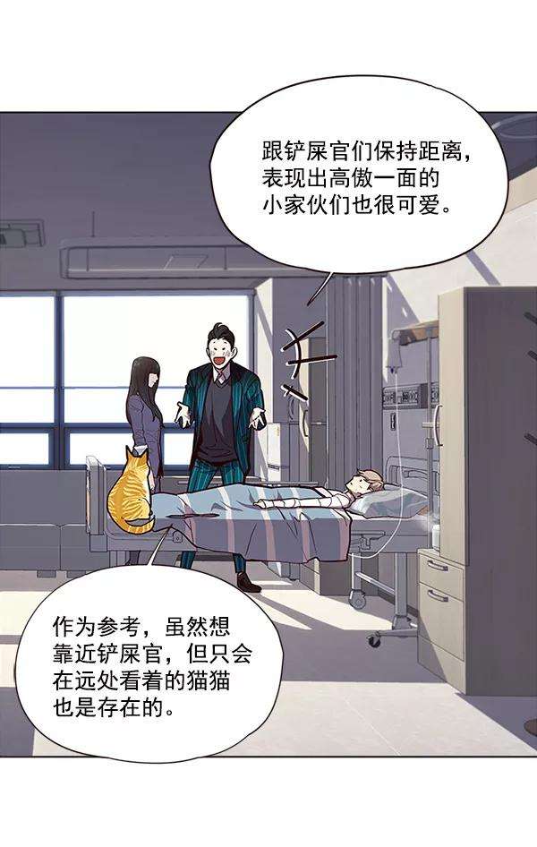 觉醒吧，铲屎官！28话