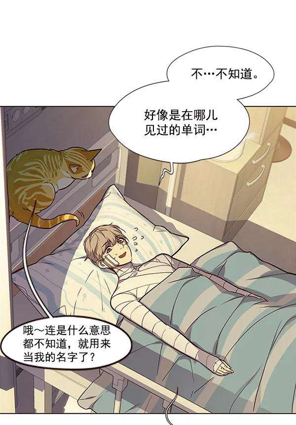 觉醒吧，铲屎官！29话