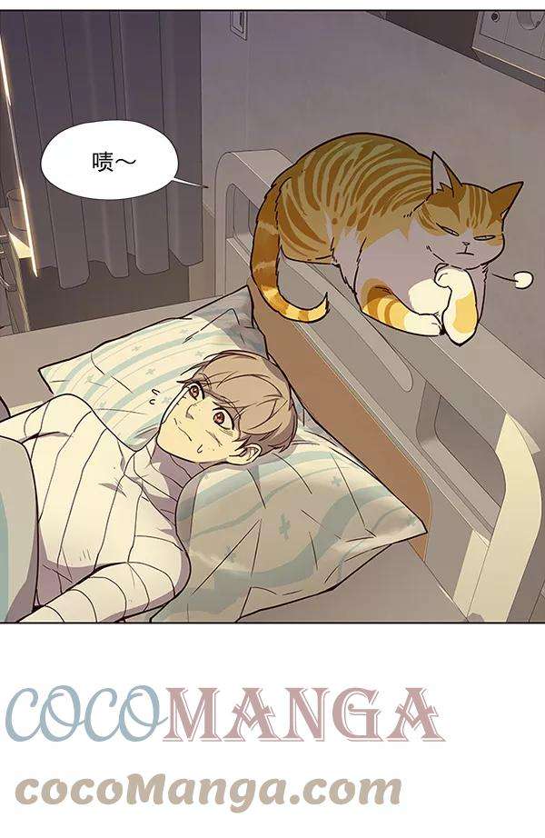 觉醒吧，铲屎官！29话
