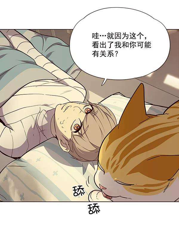 觉醒吧，铲屎官！29话