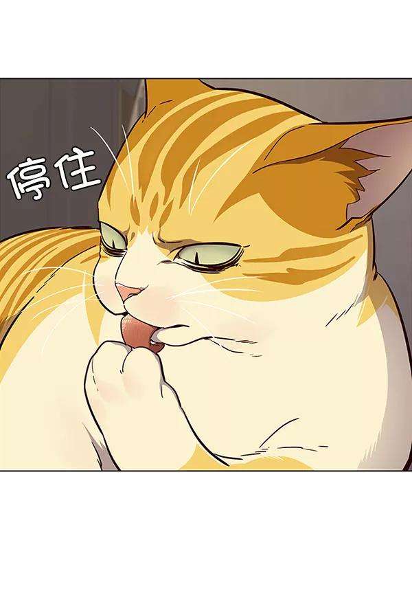 觉醒吧，铲屎官！29话