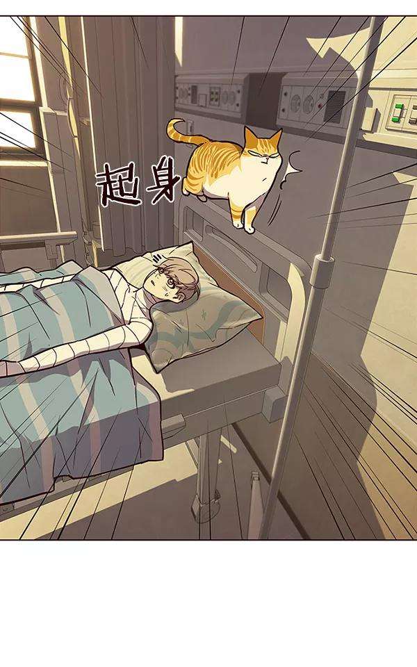 觉醒吧，铲屎官！29话