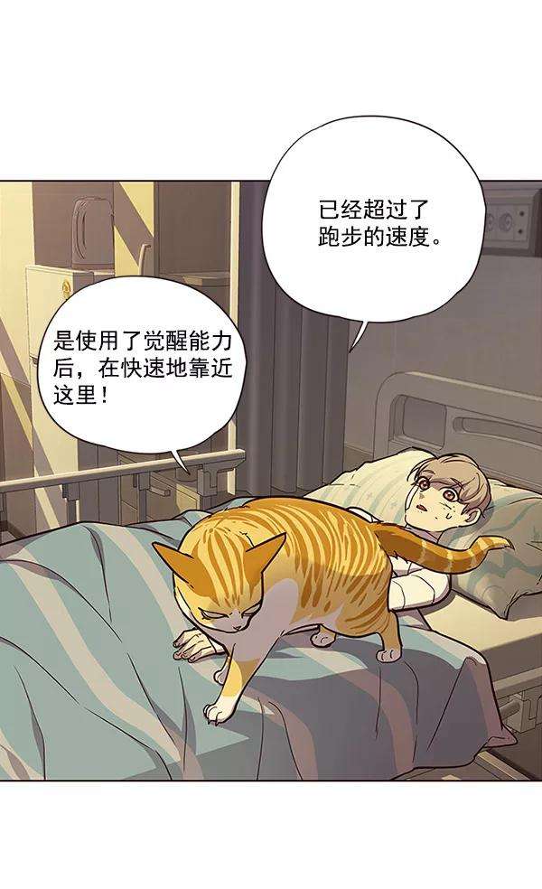 觉醒吧，铲屎官！29话