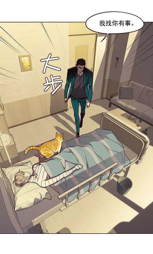 觉醒吧，铲屎官！29话