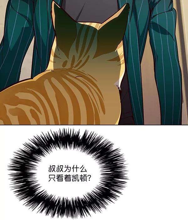 觉醒吧，铲屎官！29话
