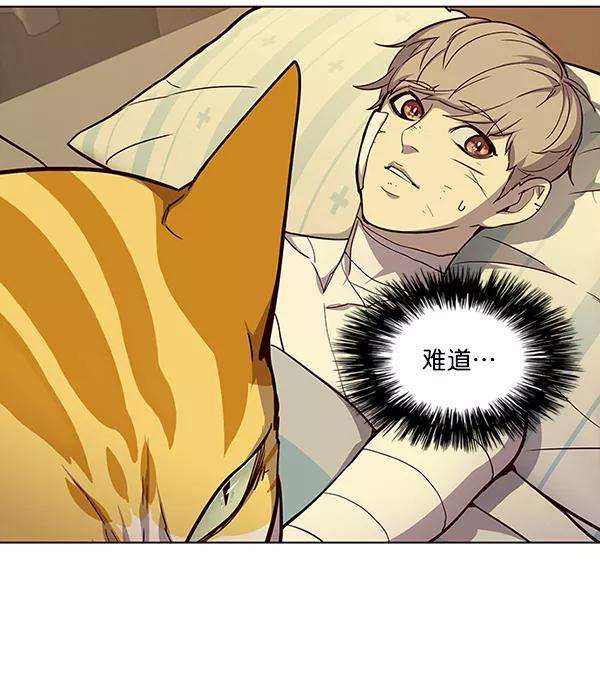 觉醒吧，铲屎官！29话