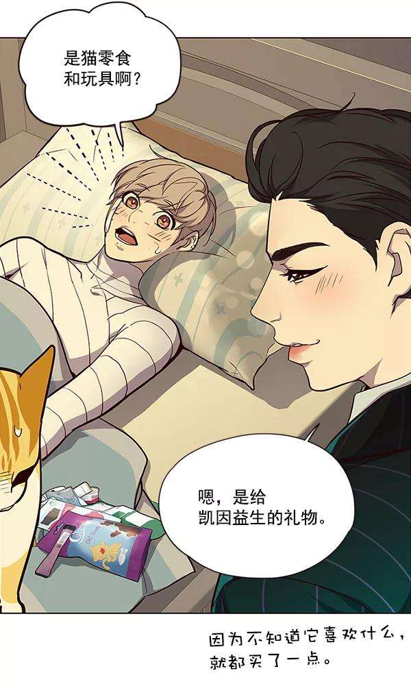 觉醒吧，铲屎官！29话