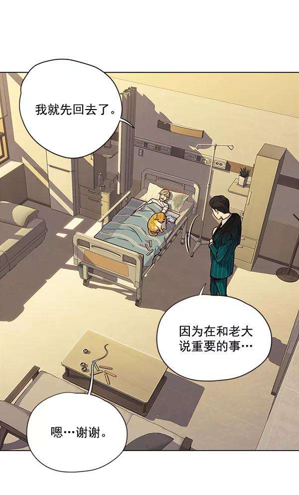 觉醒吧，铲屎官！29话
