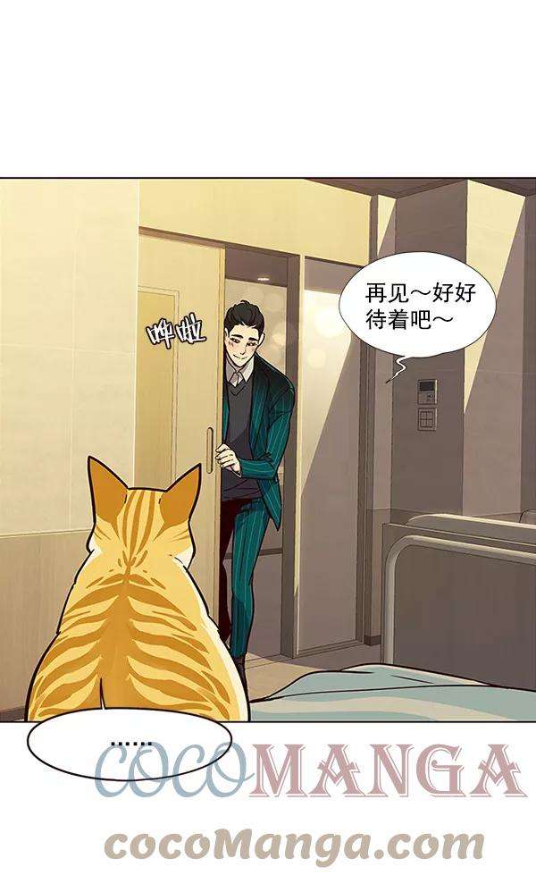 觉醒吧，铲屎官！29话
