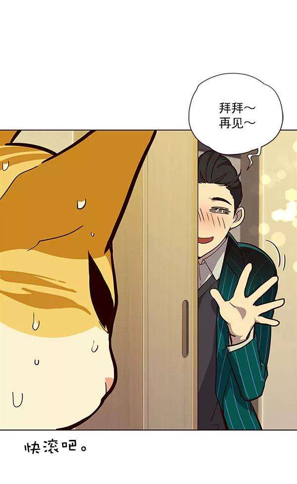 觉醒吧，铲屎官！29话