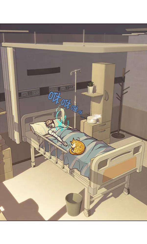 觉醒吧，铲屎官！30话