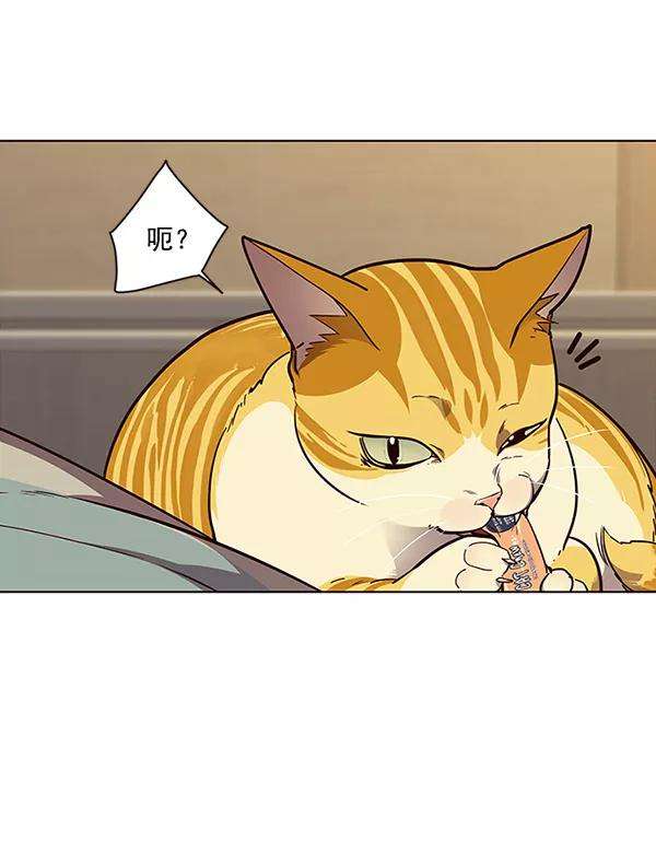 觉醒吧，铲屎官！30话