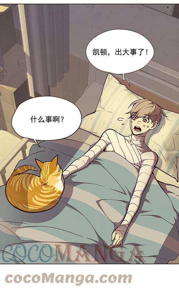 觉醒吧，铲屎官！30话